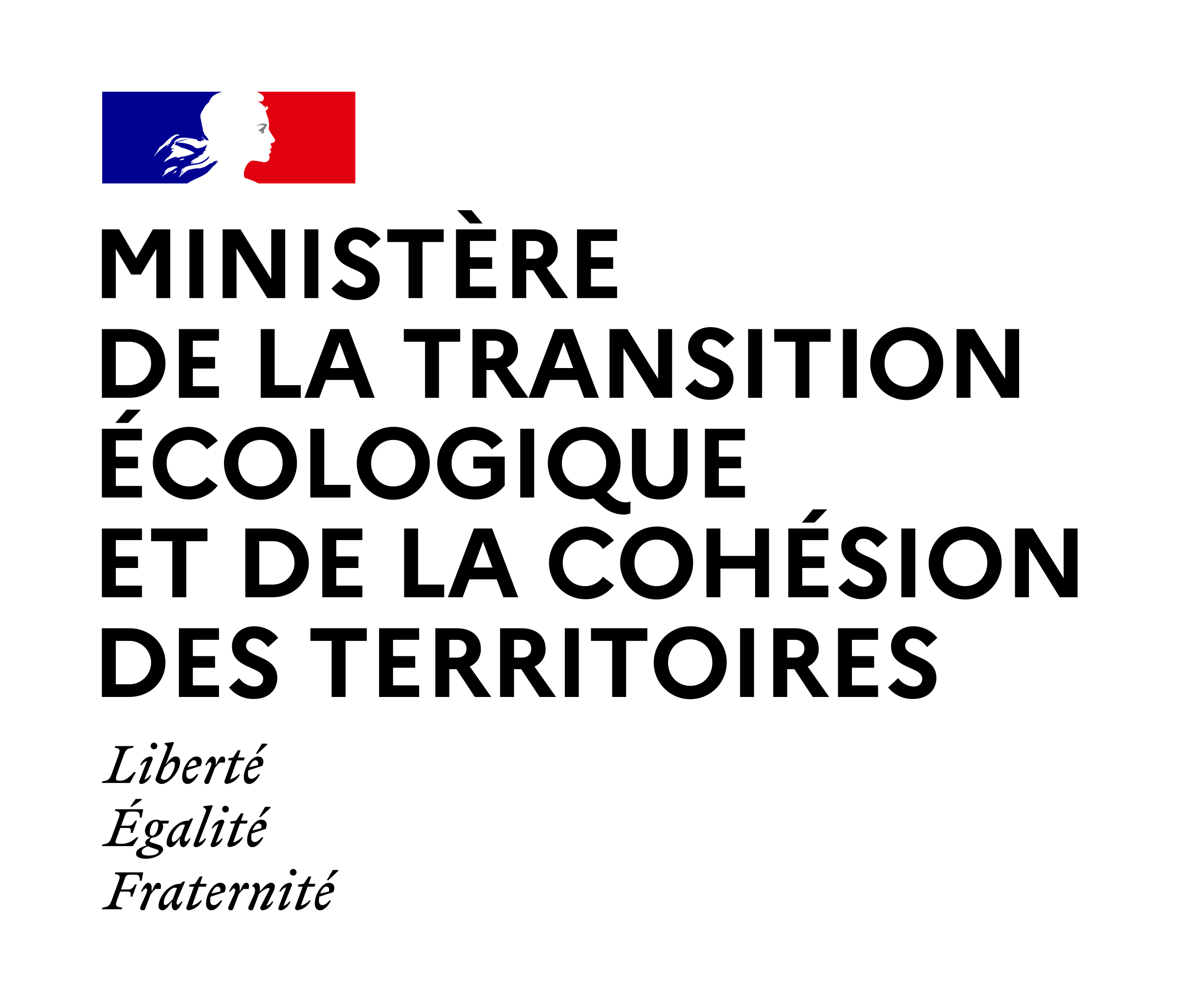 Etat français