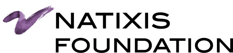 Natixis foundation vectorisé