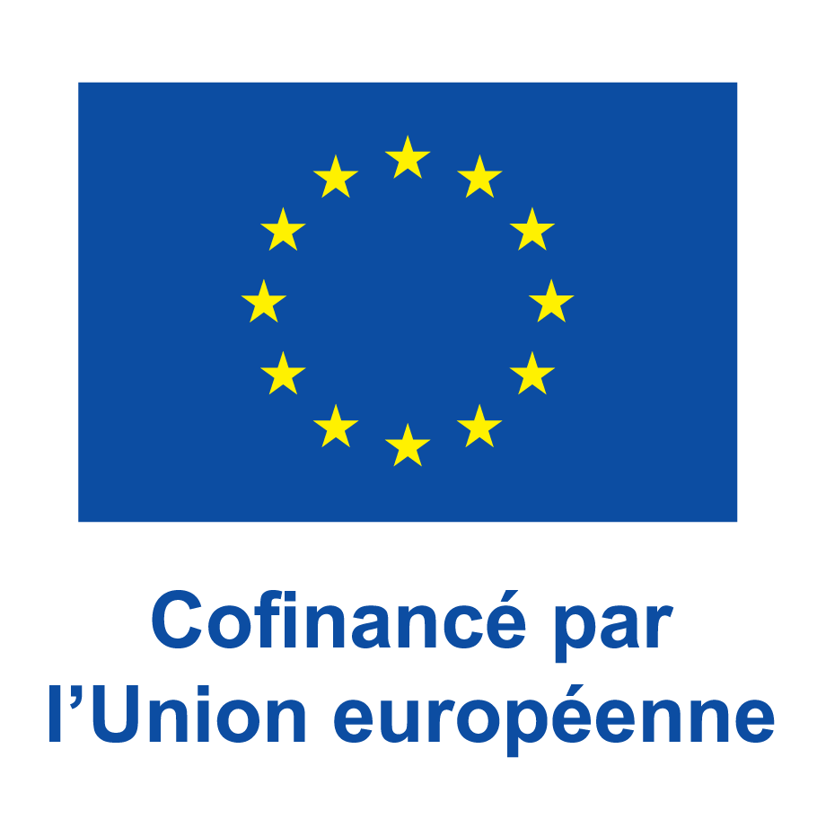 Fonds Social Européen 