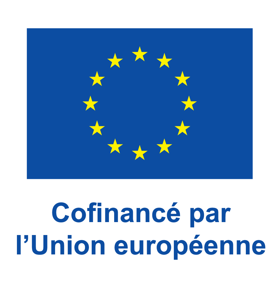 Union Européenne - Fonds social européen