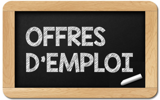 service-civique-unis-cite-emploi