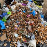 Notre collecte de mégots à l’Esplanade