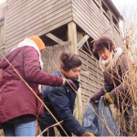 02/02/2020 Indre-et-Loire : les bénévoles de la Ligue de protection des oiseaux prennent soin des zones humides